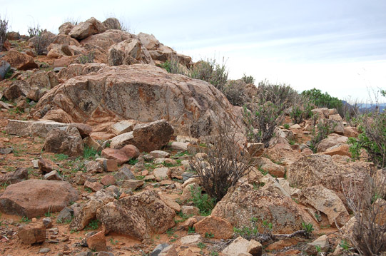 Rocas plutónicas félsicas del Cretácico medio; cerca del Observatorio de Collowara.