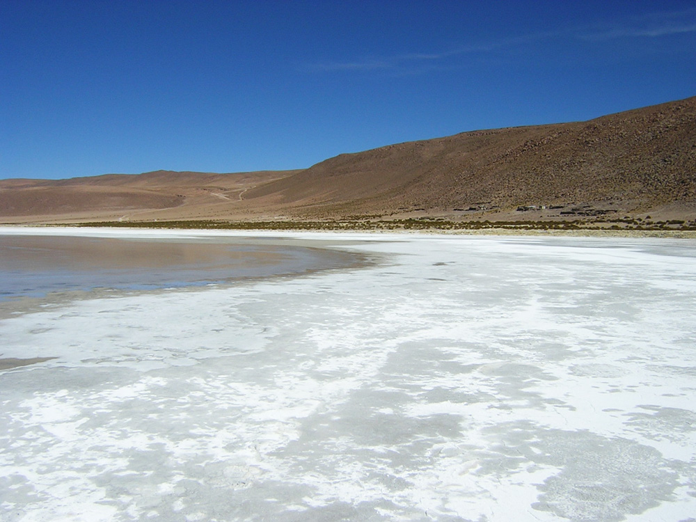 Borde del salar con la lámina de agua y sales. Al fondo la Ignimbrita Huasco.