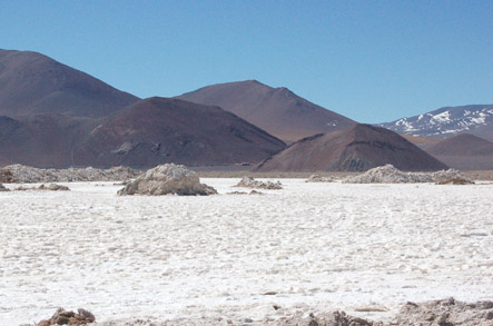 Salar de Maricunga.