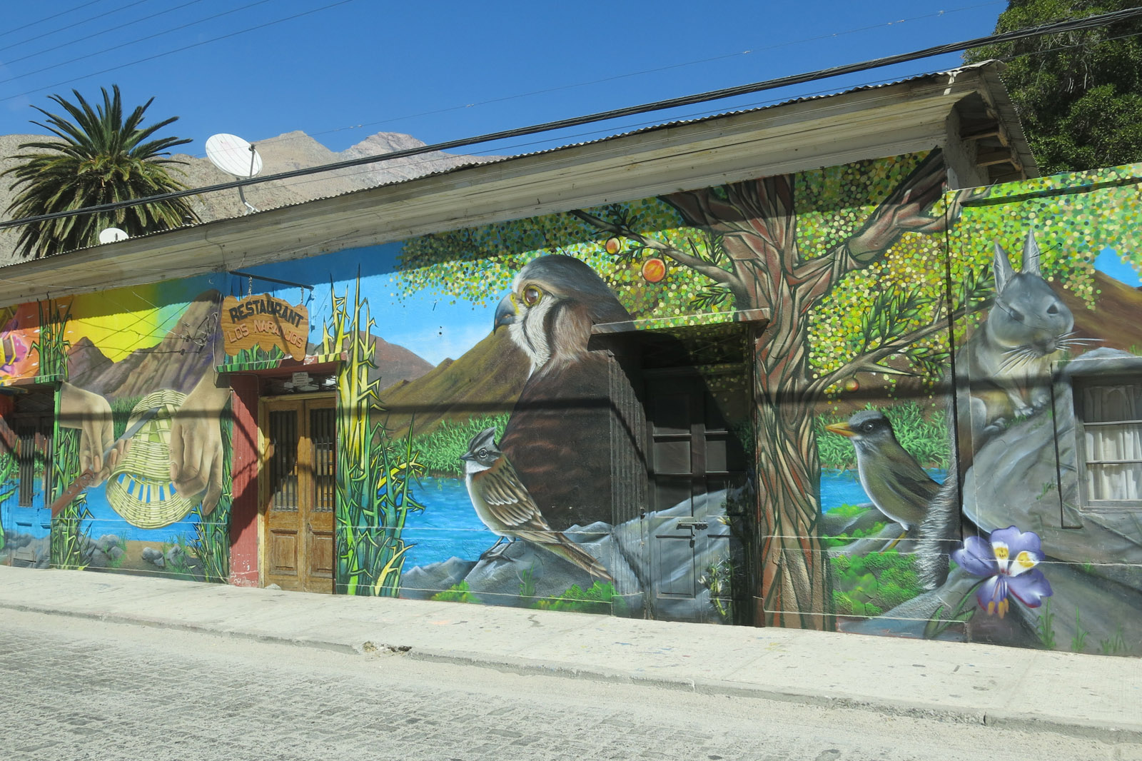 Murales en el pueblo de Paihuano.