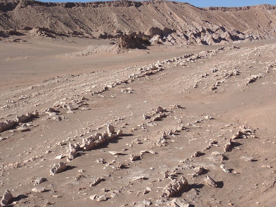Valle de Marte, capas de yeso verticales que han resistido mejor la erosión que el resto de los materiales (Formación San Pedro). Al fondo la Formación Vilama.