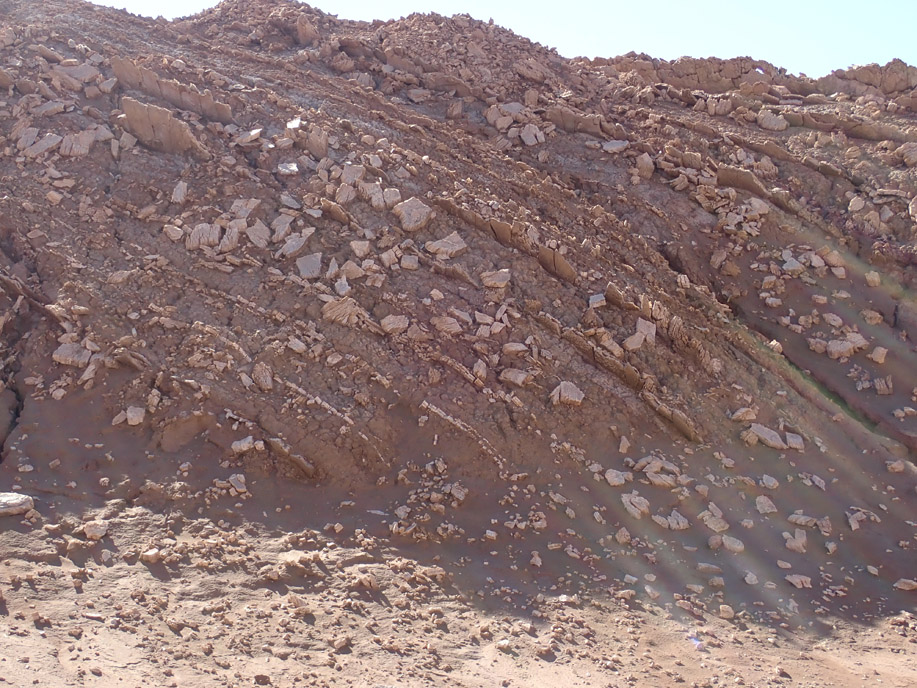 Valle de Marte, delgadas capas de yeso y capas de sedimentos finos plegadas (Formación San Pedro.