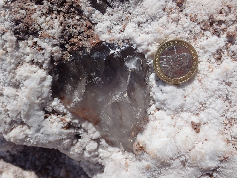 Valle de la Luna, detalle de las sales (halita, glauberita, entre otras).