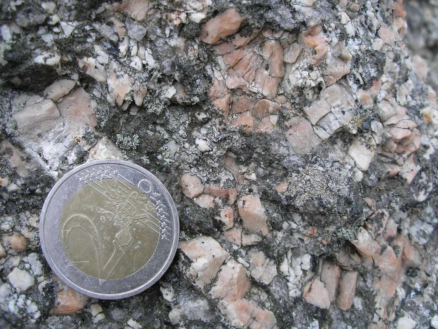 Punto 4. Aspecto textural y mineralógico de la facies híbrida con feldespato y minerales máficos en la matriz.